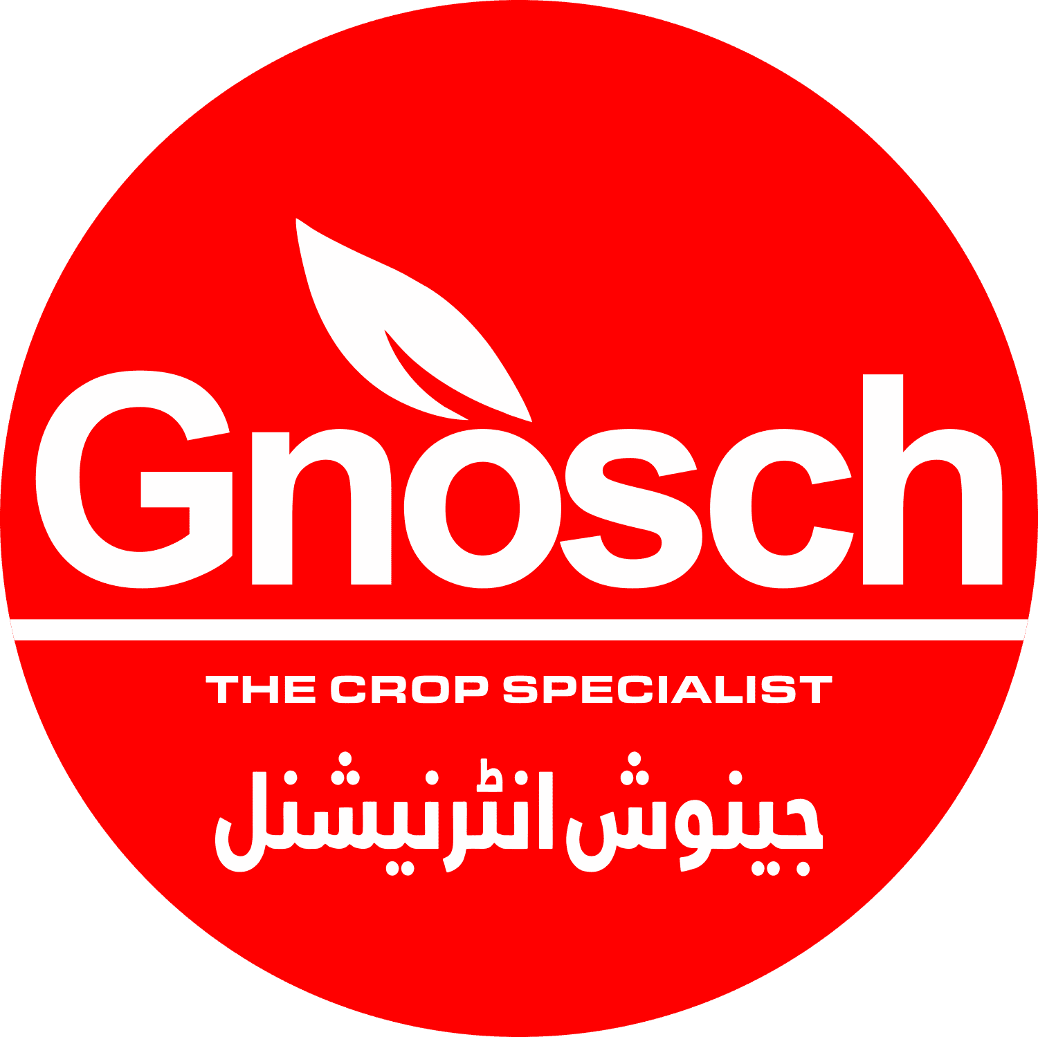 GNOSCH INTERNATIONAL - LOGO