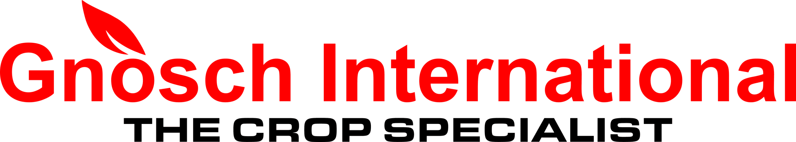 GNOSCH INTERNATIONAL - TEXT