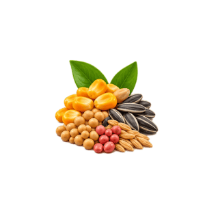 Seeds